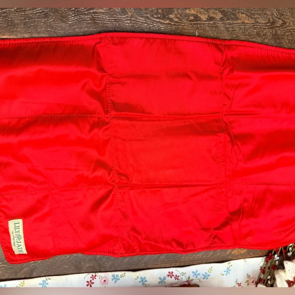 Lily Jade Shaylee Diaper Bag Red replacement Insert Travel Changing Pad GUC!